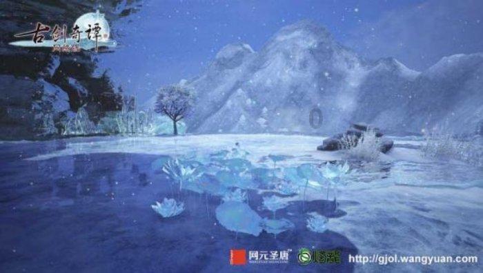 省级赛事,“足”够精彩!