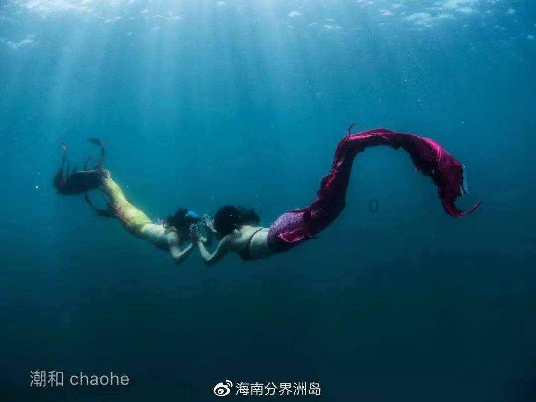 全村的希望